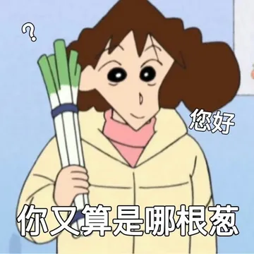 您好你又算是哪根葱