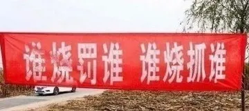 谁烧罚谁谁烧抓谁