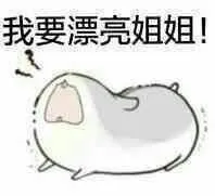 我要漂亮姐姐