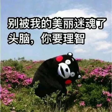 别被我的美丽迷魂了头脑，你要理智