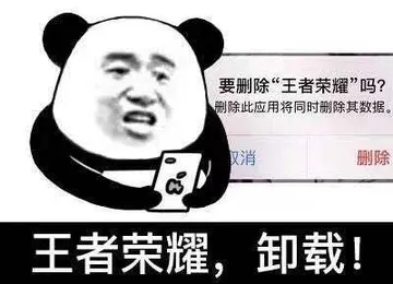 王者荣耀.卸载!