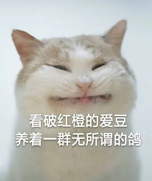 看破红橙的爱豆养着一群无所谓的鸽