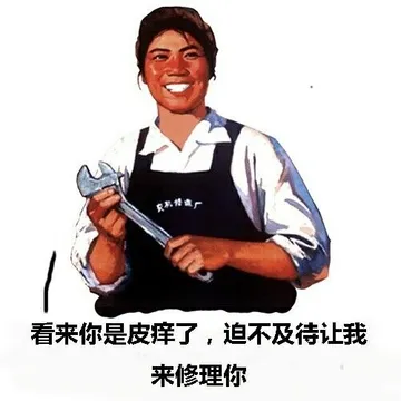 看来你是皮痒了, 迫不及待让我来修理你