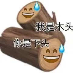 我是木头你是下头AA