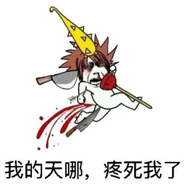我的天哪，疼死我了