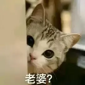 老婆?