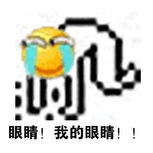 眼睛！我的眼睛！