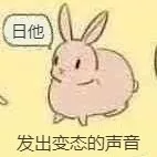 兔子发出变态的声音：日他