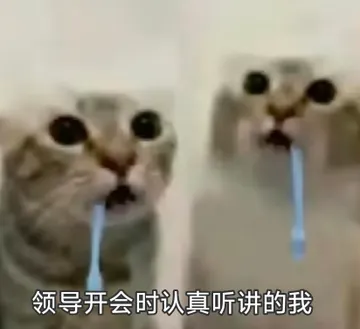 职场怼人必备表情包