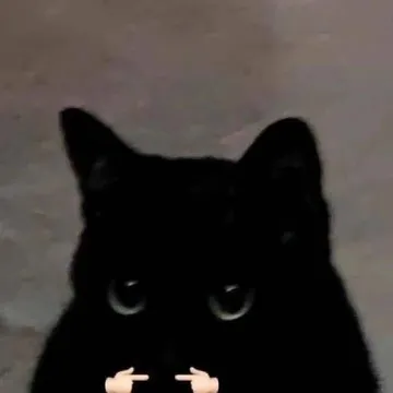 猫咪揣手手表情包