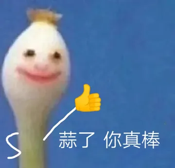 蒜了你真棒