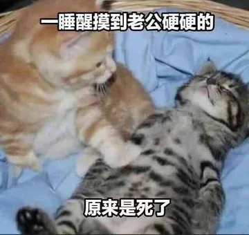 一睡醒摸到老公硬硬的原来是死了