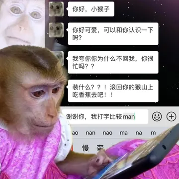 你好，小猴子你好可爱，可以和你认识一下吗？我夸你你为什么不回我，你很忙吗？？装什么？？！滚回你的猴山上吃香蕉去吧！！谢谢你，我打字比较manaonannaomanam慢蛮
