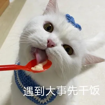 遇到大事先干饭