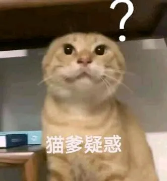 无名哈基米