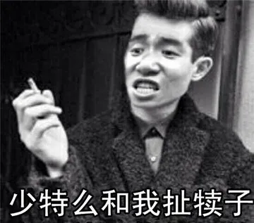 少特么和我扯犊子