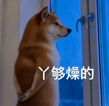 丫够燥的表情包（狗子和负鼠版本）
