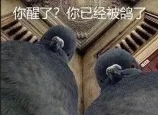 鸽友会