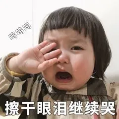 呜呜呜 罗熙擦干眼泪继续哭