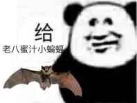 老八.老八蜜汗小蝙蝠!