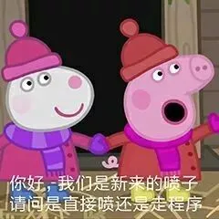 你好，我们是新来的喷子。请问是直接喷还是走程序？