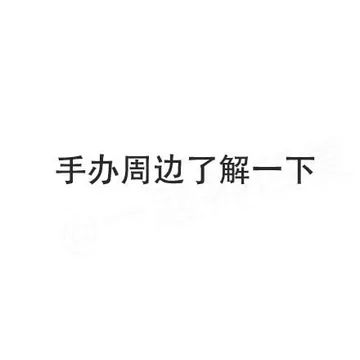 手办周边了解一下
