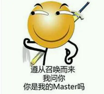 遵从召唤而来我问你你是我的 Master吗