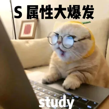 S属性大爆发study小