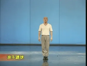 闪身步、狗熊哆嗦毛、浪子踢球gif表情包合集（老师原版、AI狗熊版、哈基米版……）