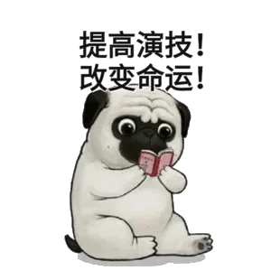 提高演技！改变命运！