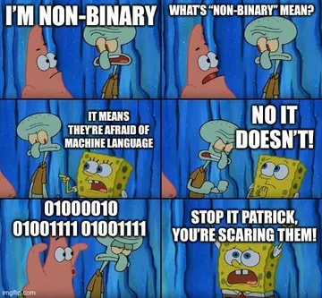 Non-Binary Programmers Have It Tough