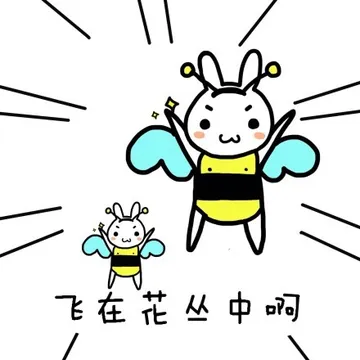 飞在花丛中啊