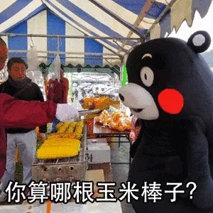 你算哪根玉米棒子