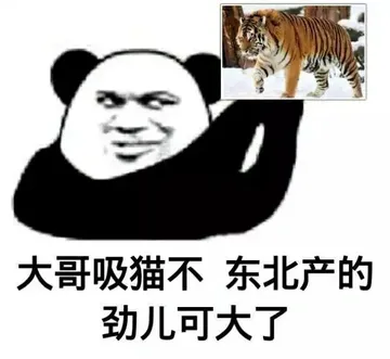 大哥吸猫不东北产的劲儿可大了