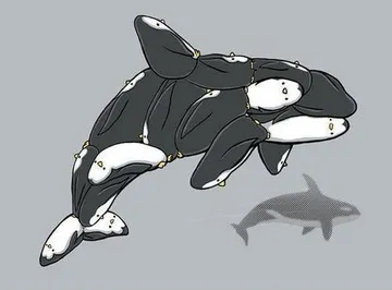 Penguin Orca