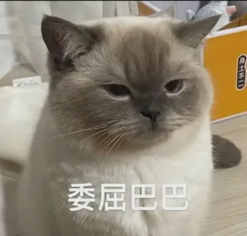 不三委屈巴巴
