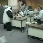 Panda Cheese Destroy Computers GIF Template