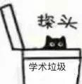 探头.学术垃圾