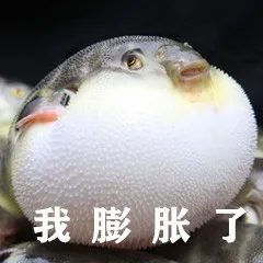 沙雕文字配图