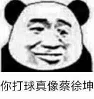 你打球真像蔡徐坤