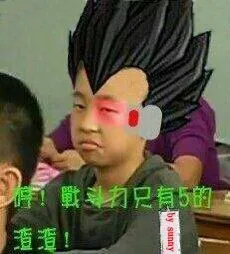 哼 战斗力只有5的渣渣