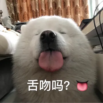 舌吻吗(汪星人)