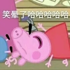 笑晕子哈哈哈哈哈