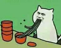 小猫吃面条!