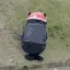熊本熊伤心
