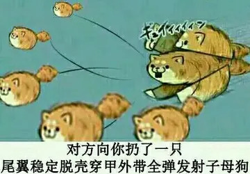 对方向你扔了一只尾翼稳定脱壳穿甲外带全弹发射子母狗