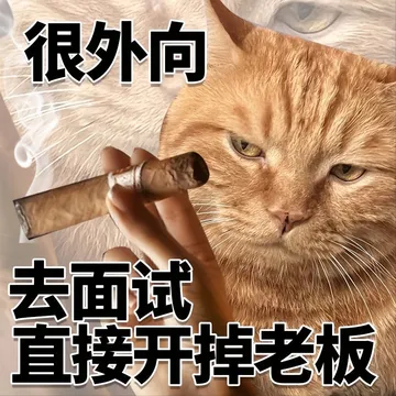 很外向去面试直接开掉老板