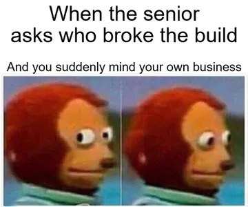 When The Senior Asks Who Broke The Build