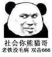 社会釡熊猫哥.老铁没毛病.双击666(熊猫斗图啦)