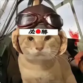 神风耄耋